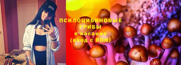 мяу мяу мука Касимов
