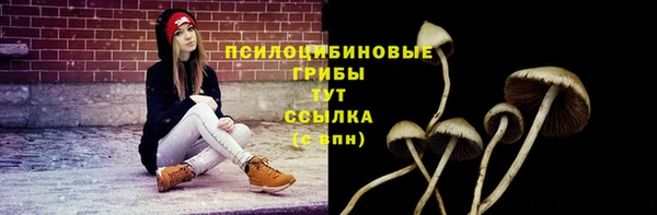 герыч Карпинск