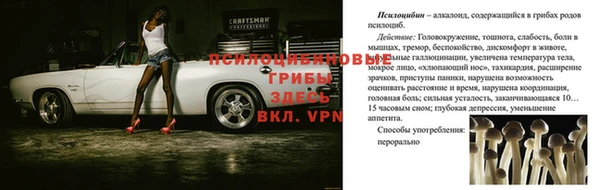 спиды Карталы