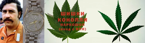 спиды Карталы