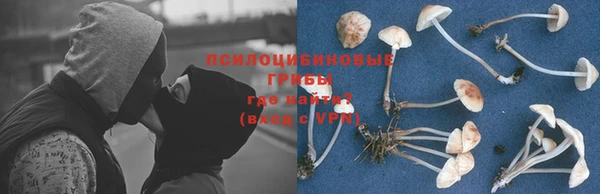 мяу мяу мука Касимов