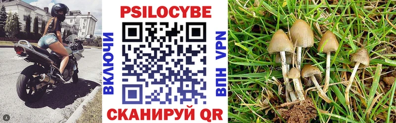 купить   мега ССЫЛКА  Псилоцибиновые грибы прущие грибы  Шиханы 